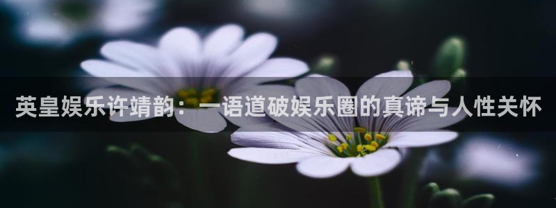 金沙糖果派对：英皇娱乐许靖韵：一语道破娱乐圈的真谛与人性关怀