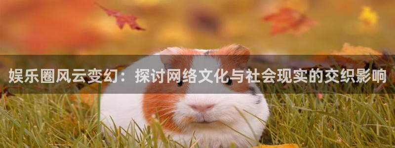 金沙糖果派对游戏：娱乐圈风云变幻：探讨网络文化与社会现实的交织影响