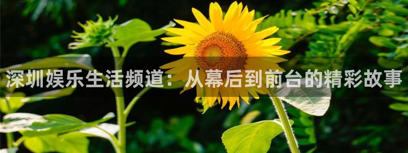糖果派对网站大全：深圳娱乐生活频道：从幕后到前台的精彩故事