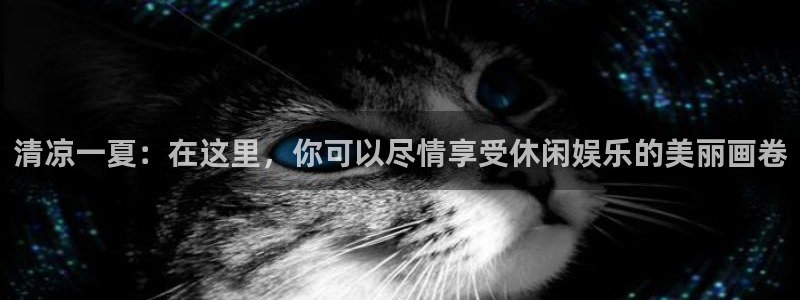 糖果派对哪个网站好：清凉一夏：在这里，你可以尽情享受休闲娱乐的美丽画卷