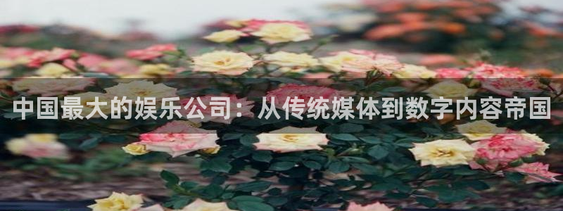 糖果派对下载app：中国最大的娱乐公司：从传统媒体到数字内容帝国