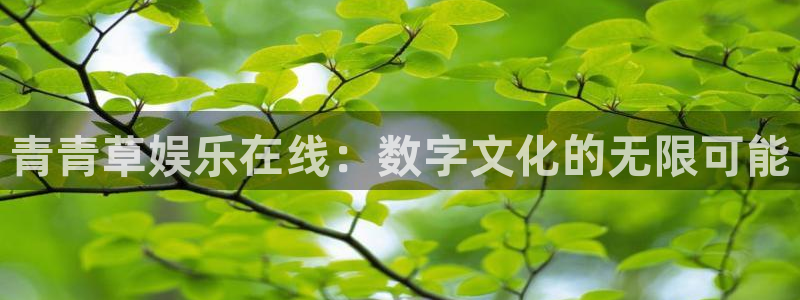 试玩版糖果派对：青青草娱乐在线：数字文化的无限可能
