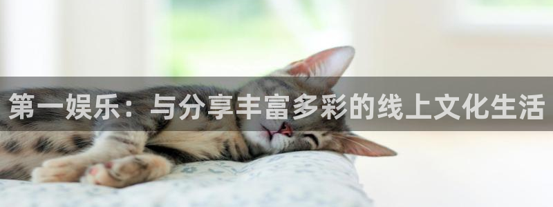 单机糖果派对：第一娱乐：与分享丰富多彩的线上文化生活