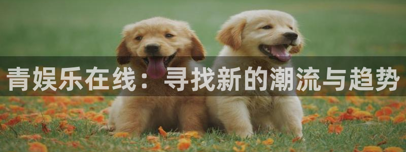 糖果派对糖果：青娱乐在线：寻找新的潮流与趋势