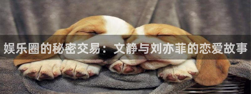 糖果派对手机版app：娱乐圈的秘密交易：文静与刘亦菲的恋爱故事