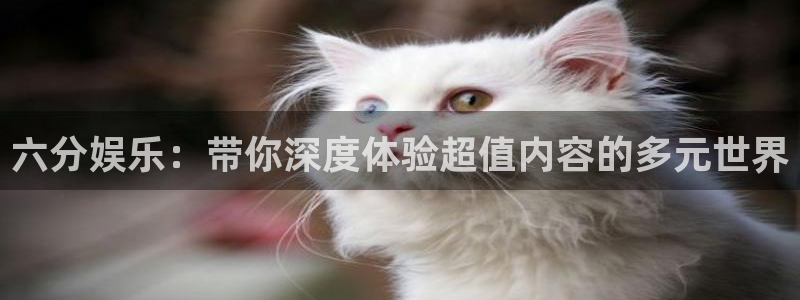 万博糖果派对网站：六分娱乐：带你深度体验超值内容的多元世界