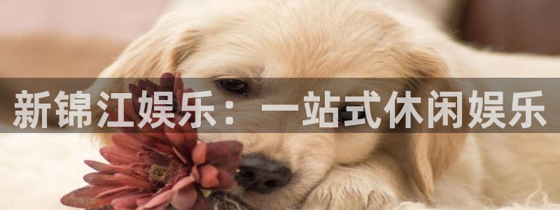 糖果派对3：新锦江娱乐：一站式休闲娱乐