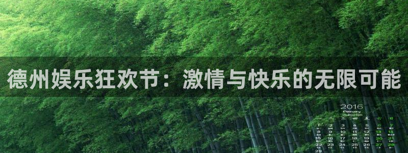 糖果派对2爆分：德州娱乐狂欢节：激情与快乐的无限可能
